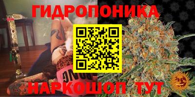 каннабис Коммунар