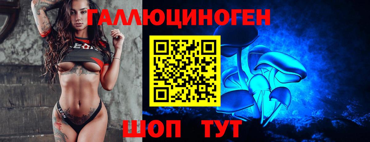 Галлюциногенные грибы GOLDEN TEACHER Шелехов