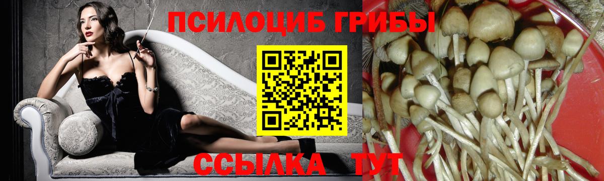 Псилоцибиновые грибы MAGIC MUSHROOMS  где можно купить   Шелехов  Вход с VPN 
